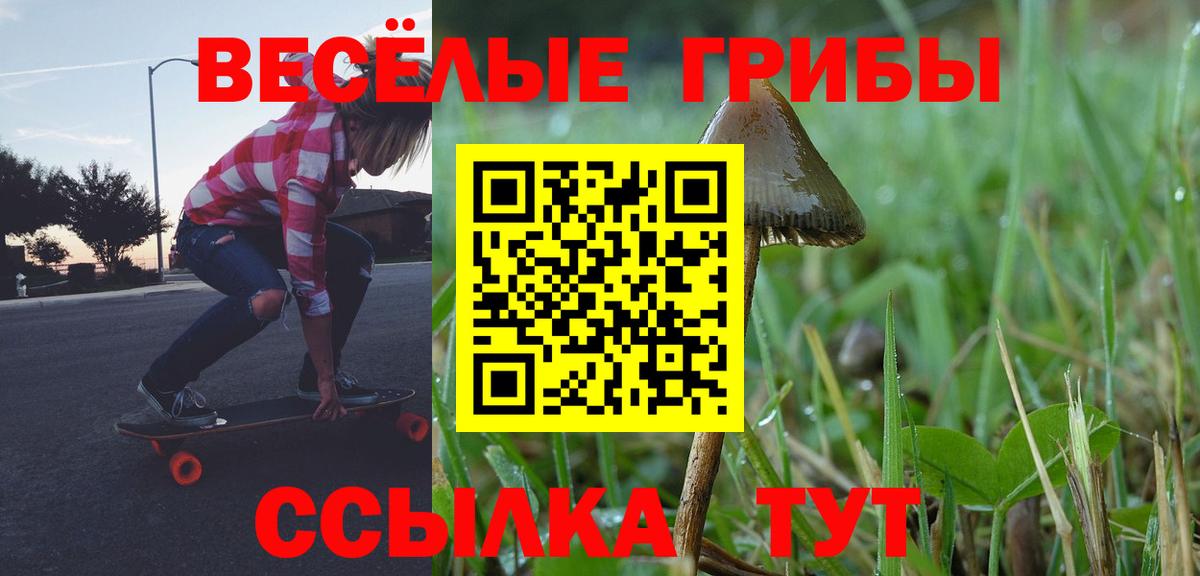 Псилоцибиновые грибы мицелий  Вход с VPN  Ступино 