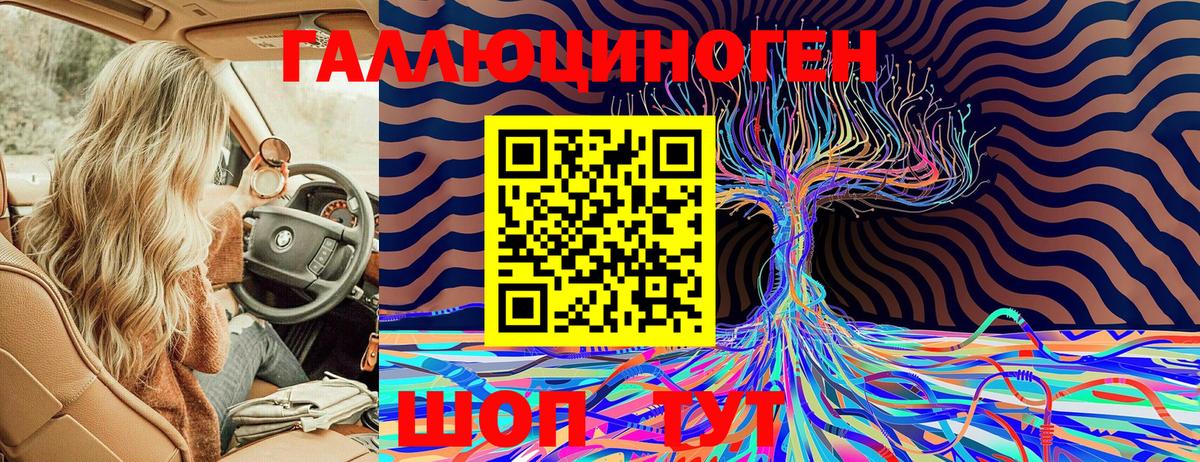 Галлюциногенные грибы прущие грибы  Ступино 