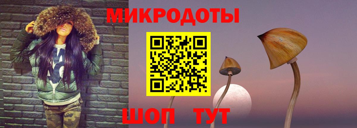 Псилоцибиновые грибы Psilocybe Ступино