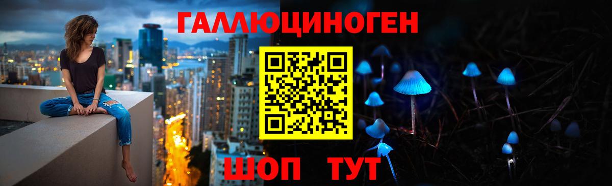 Псилоцибиновые грибы Psilocybe Ступино